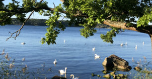 Hallsénius Lidingö