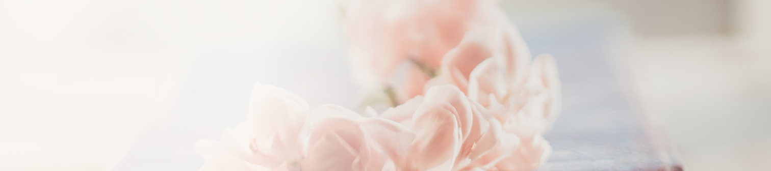 Närbild av rosa blommor med mjuk fokus.